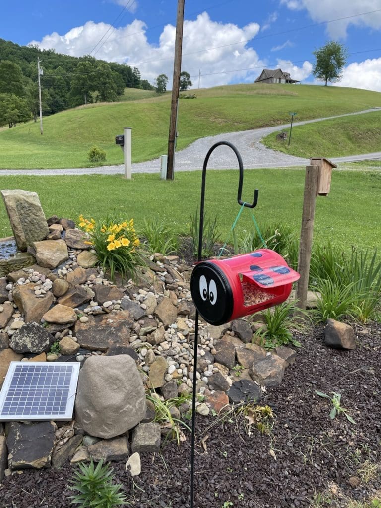 DIY Ladybug Bird Feeder