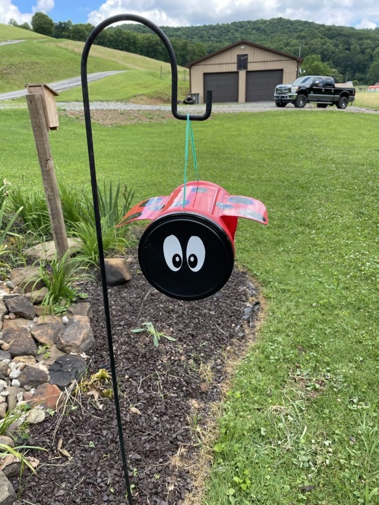DIY Ladybug Bird Feeder