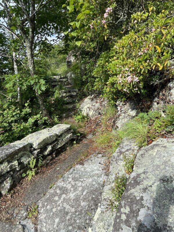 Sharp Top Summit Trail