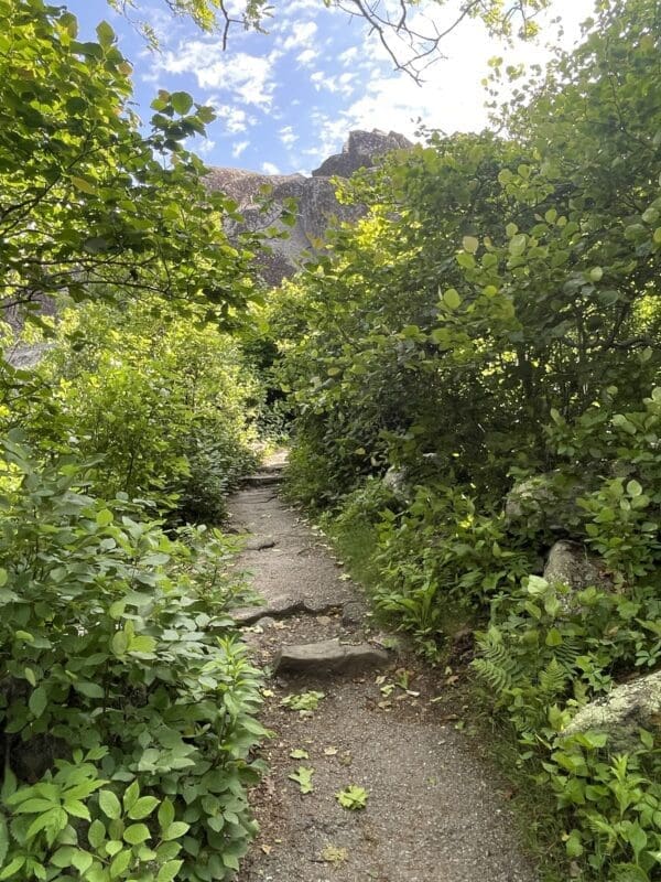 Sharp Top Summit Trail