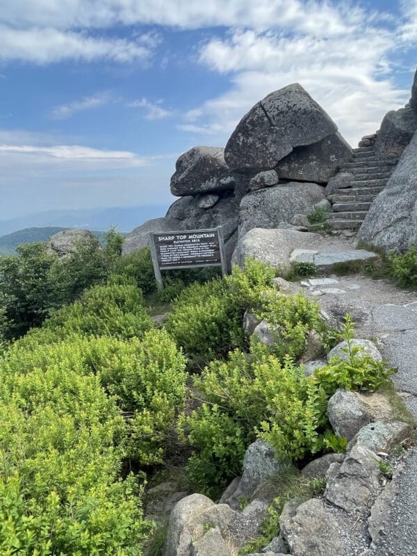 Sharp Top Summit