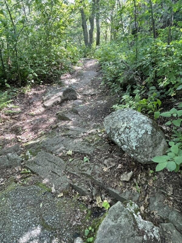 Sharp Top Mountain Summit Trail